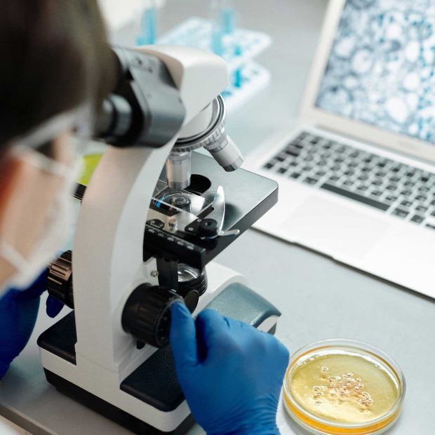 jornadas antropologia