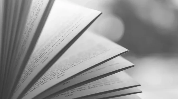 “TU VOZ CONTRA LA VIOLENCIA”