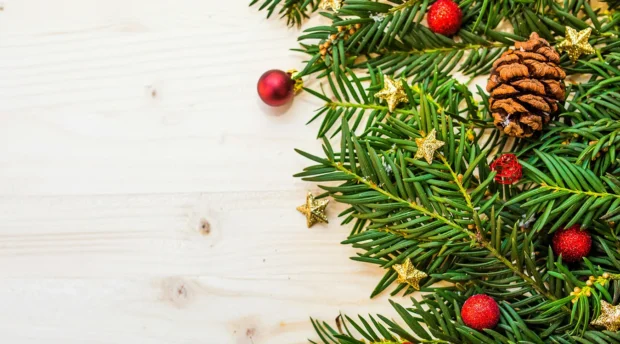 Pastriz se llena de espíritu navideño