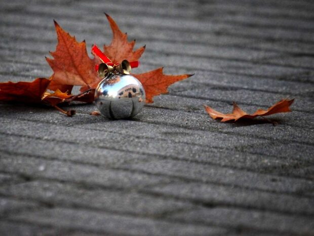 - Primer premio (300 euros) - "Reflejos de Navidad en Nuez de Ebro" de David Orea