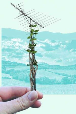 Imagen-Convocatoria-CC Imagen-Convocatoria-CC