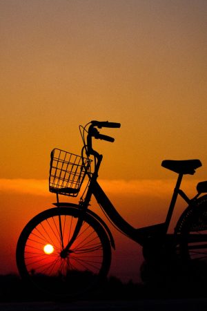 bici-atardecer bici-atardecer